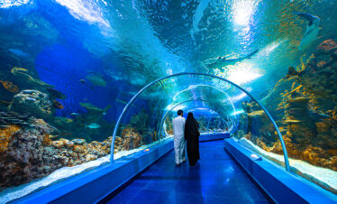 The Jeddah Glimpse 2D/1N (Jeddah)